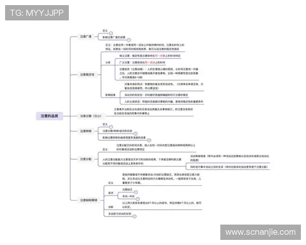 武汉足球队选拔赛表现分析：意识与战术的深度探讨与反思