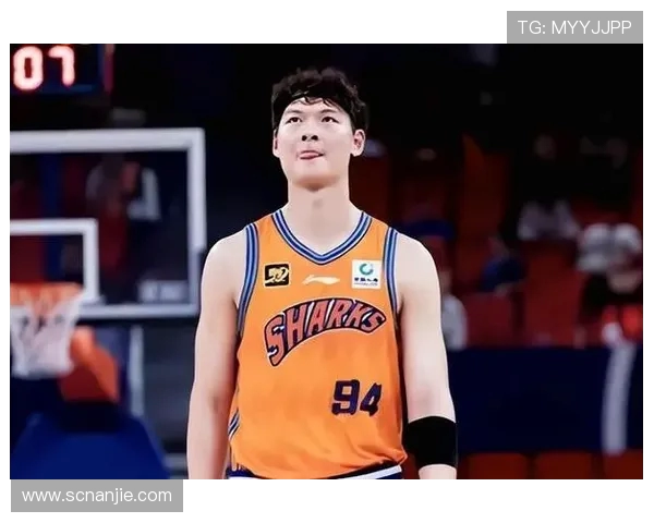 王哲林：从CBA巨星到中国篮球新旗帜的成长历程与未来展望