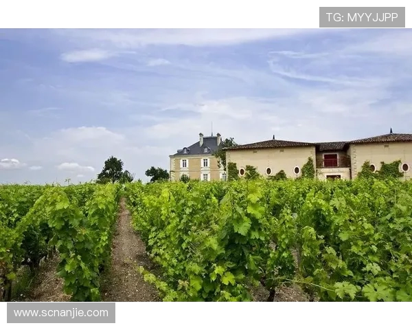 尼斯对波尔多精彩直播全程回顾与赛后分析尽在这里 尼斯对波尔多精彩直播全程回顾与赛后分析尽在这里